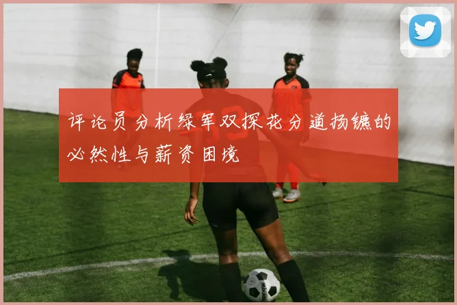 评论员分析绿军双探花分道扬镳的必然性与薪资困境