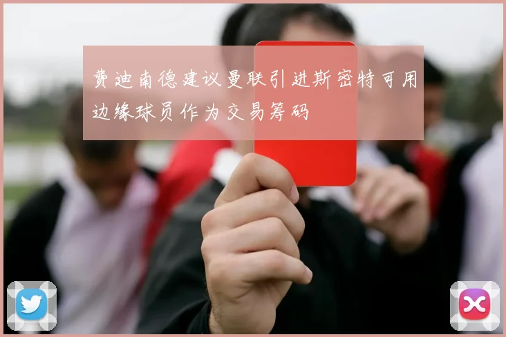 费迪南德建议曼联引进斯密特可用边缘球员作为交易筹码